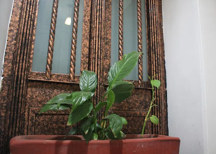 Hotel Casa De La Luna