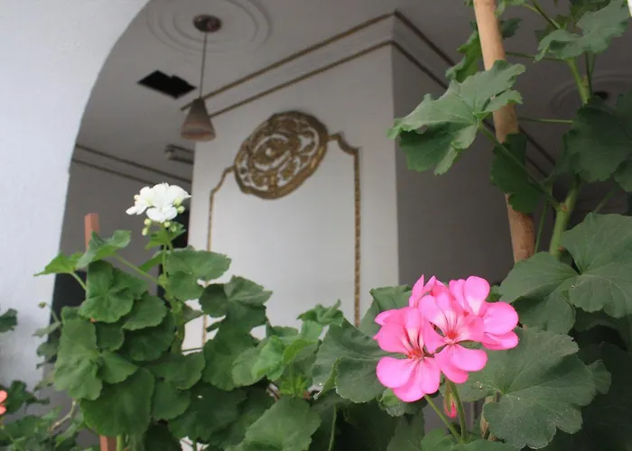 Casa De La Luna Hotel